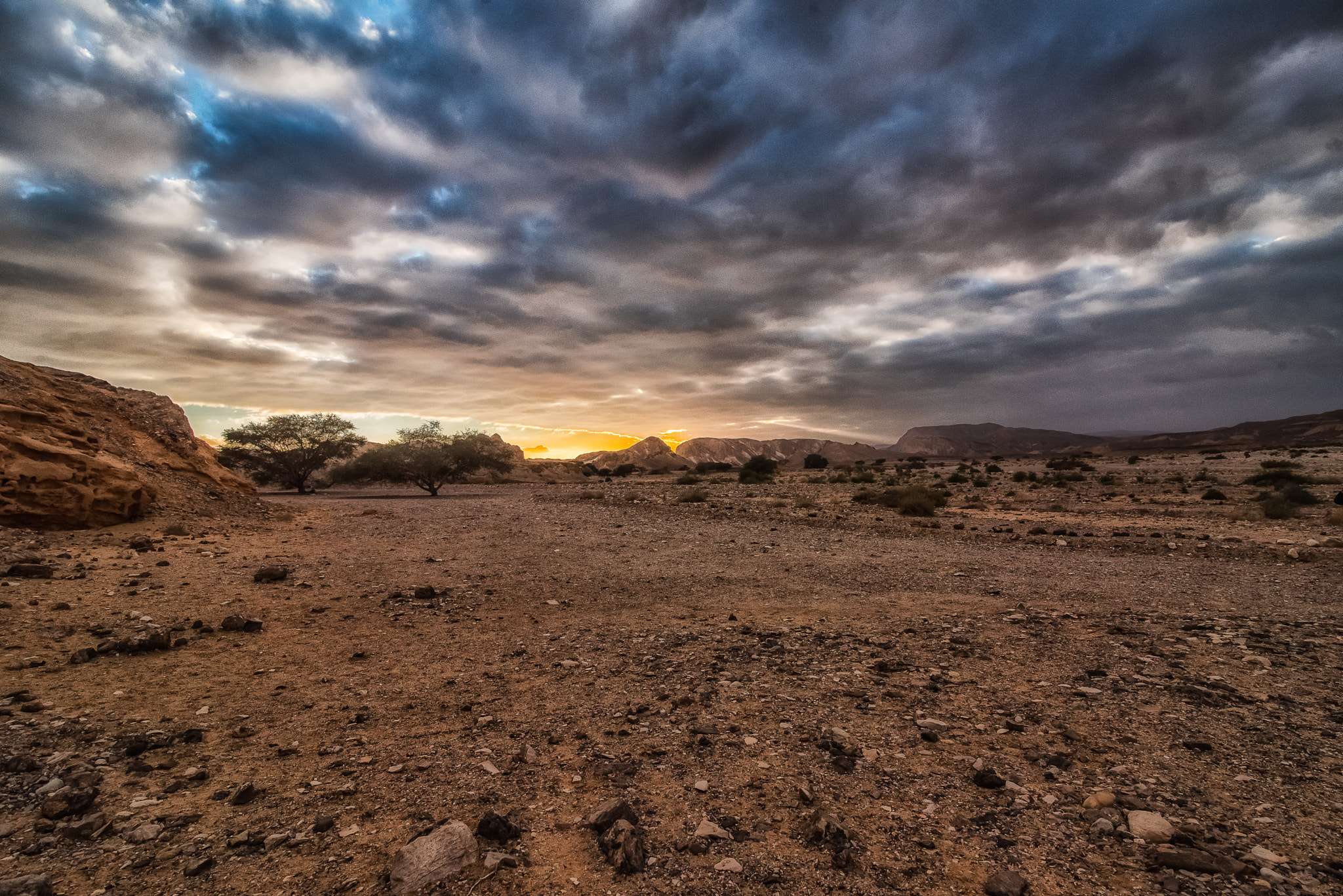 Tokina AT-X 16-28mm F2.8 Pro FX sample photo. The life of the desert photography