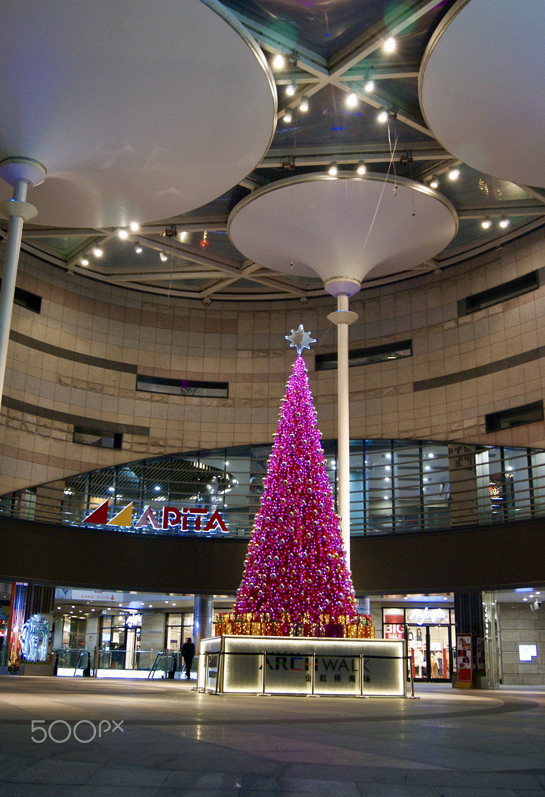 Sony Alpha DSLR-A290 + Sony DT 18-55mm F3.5-5.6 SAM II sample photo. 2017 new year's tree @apita, shanghai, china photography