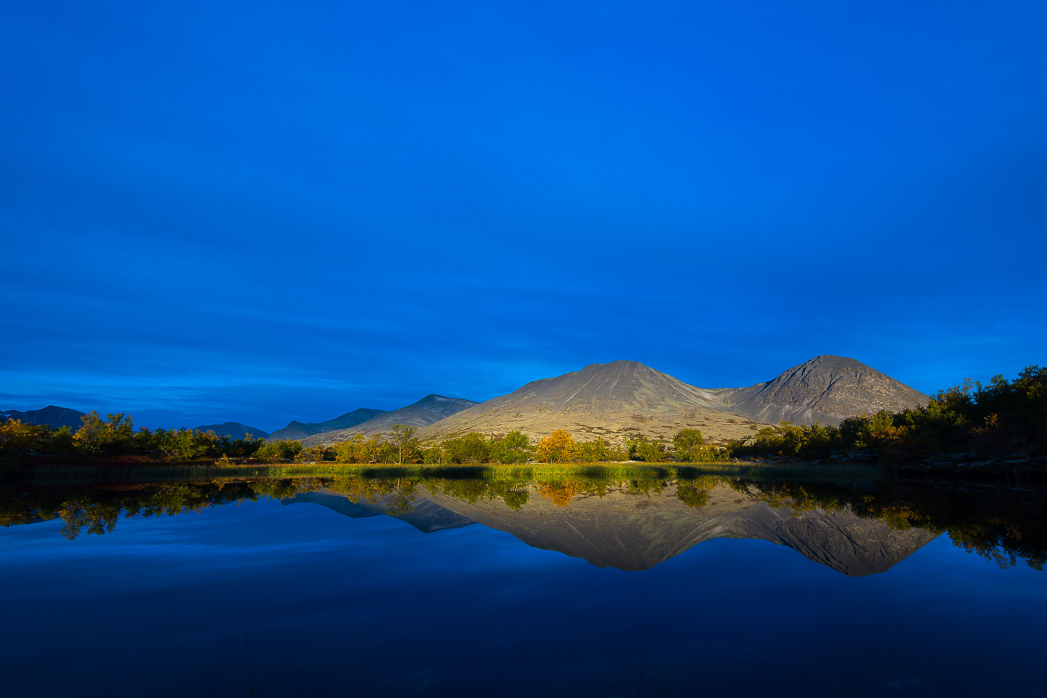 Nikon D600 sample photo. Morning light in dørålen photography