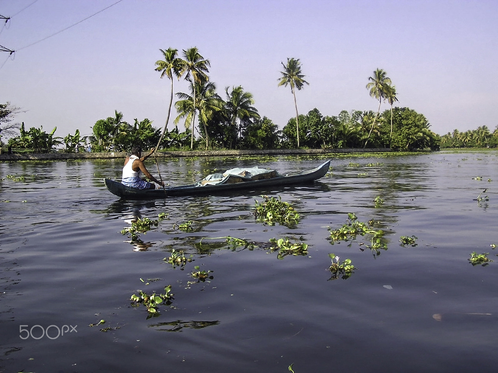Olympus C750UZ sample photo. Man boating on the salt water lagoon in alleppey in kerala photography