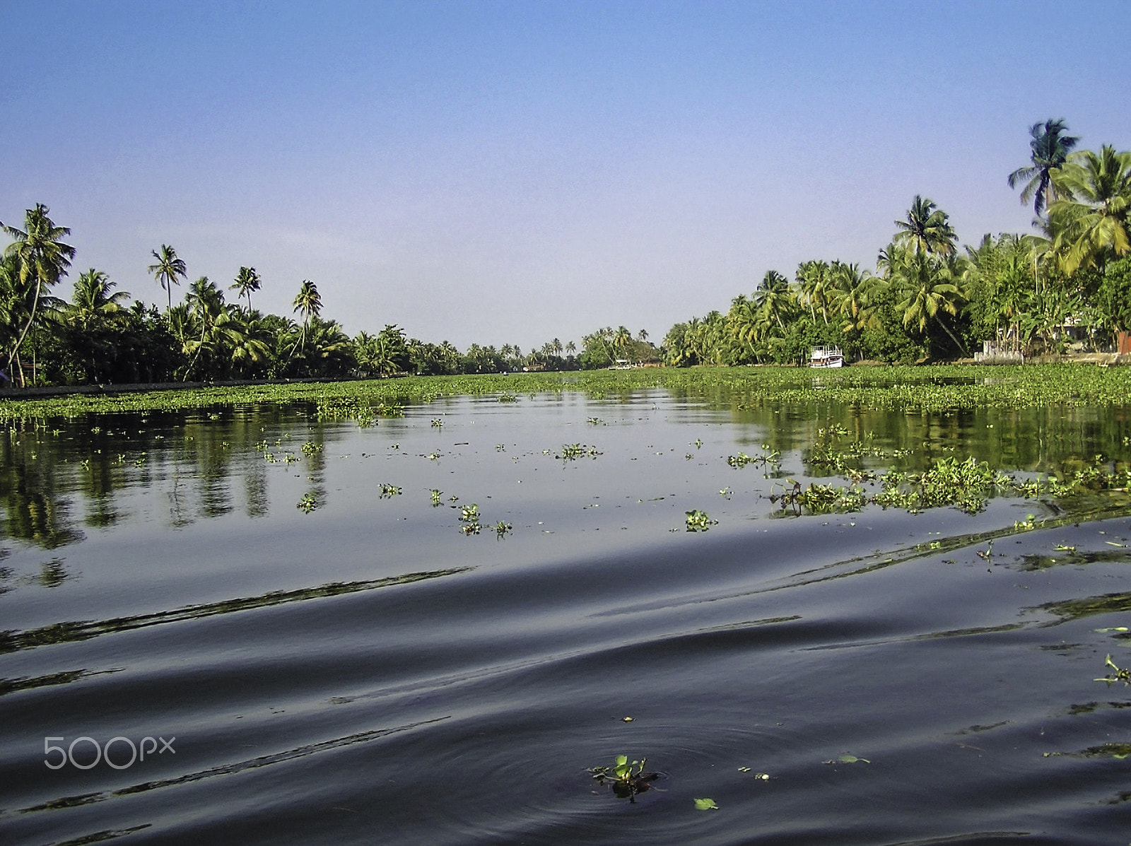 Olympus C750UZ sample photo. Ripples on the water of the saltwater lagoon in alleppey in kera photography