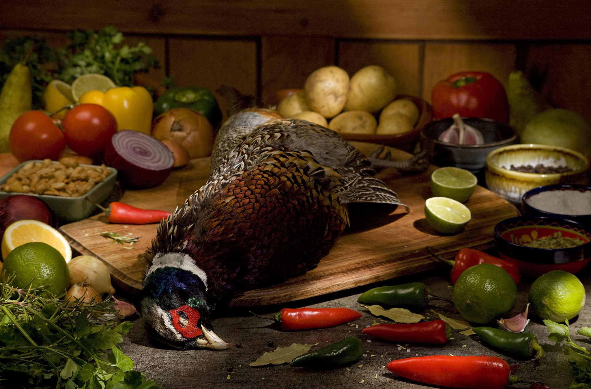 Sigma 70-300mm F4-5.6 APO DG Macro sample photo. Pheasant photo photography