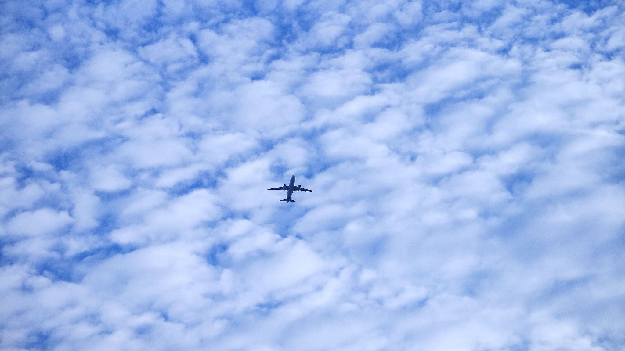 Sony SLT-A57 sample photo. En route to sky! very very high! photography