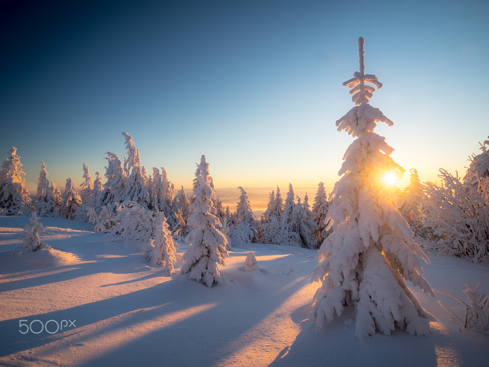 Olympus OM-D E-M1 + Olympus Zuiko Digital ED 9-18mm F4.0-5.6 sample photo. A winter sunset photography