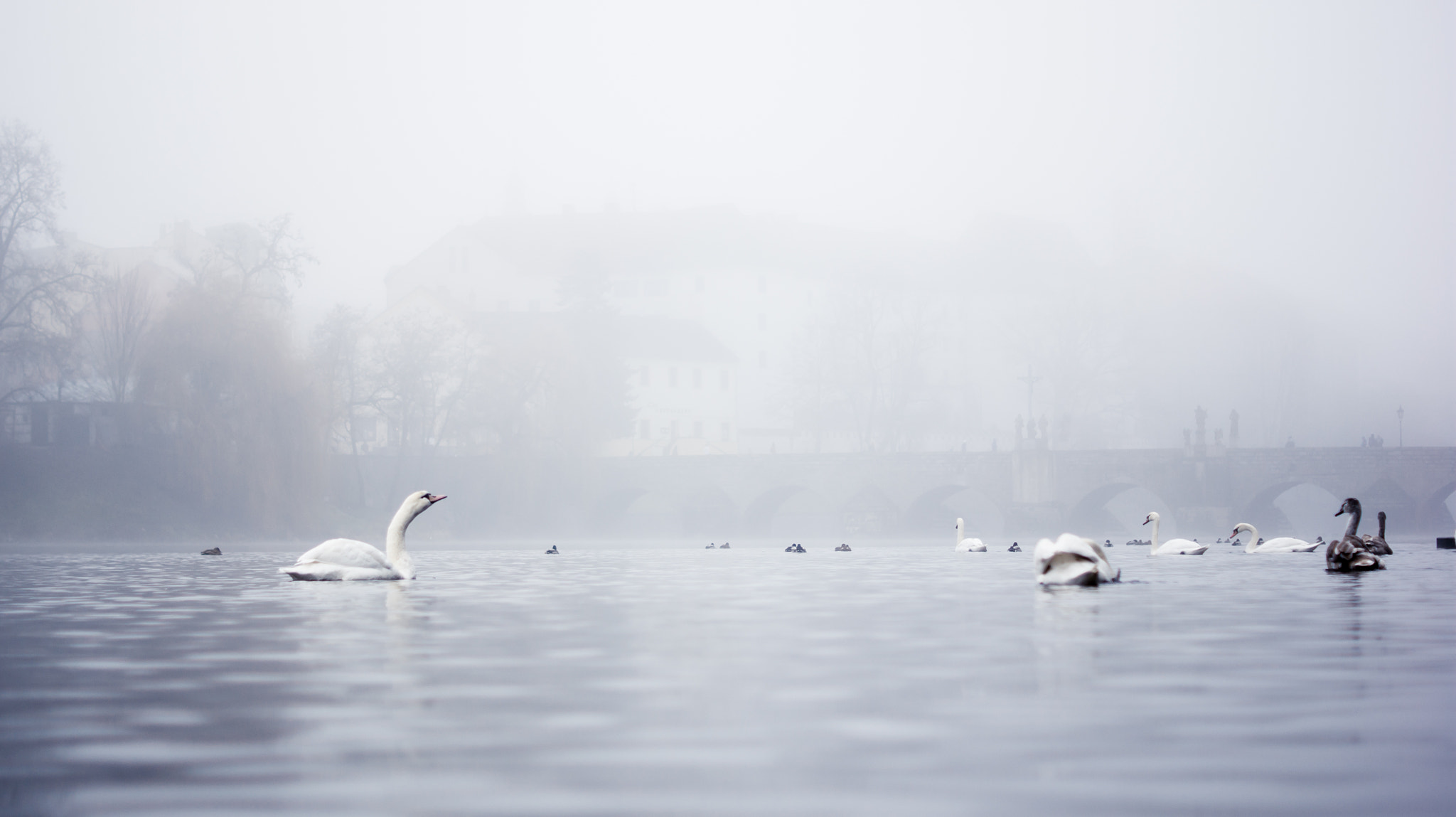 Sony Alpha DSLR-A350 + Sony DT 50mm F1.8 SAM sample photo. River otava in mist photography