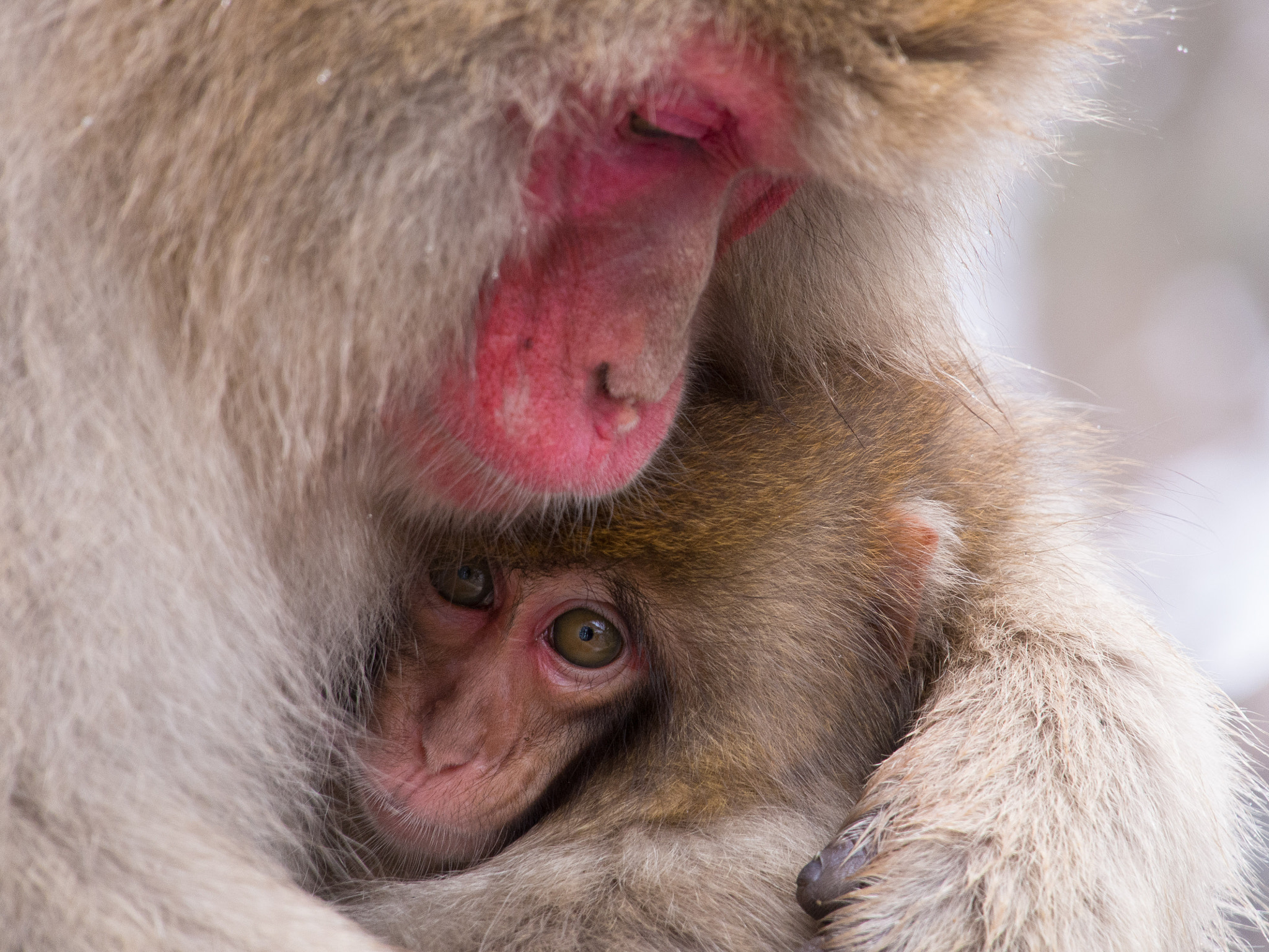 Tamron 14-150mm F3.5-5.8 Di III sample photo. Mother and child photography