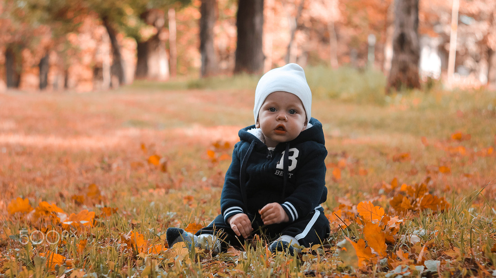 Canon EF 35-80mm f/4-5.6 sample photo. В осенних листьях photography