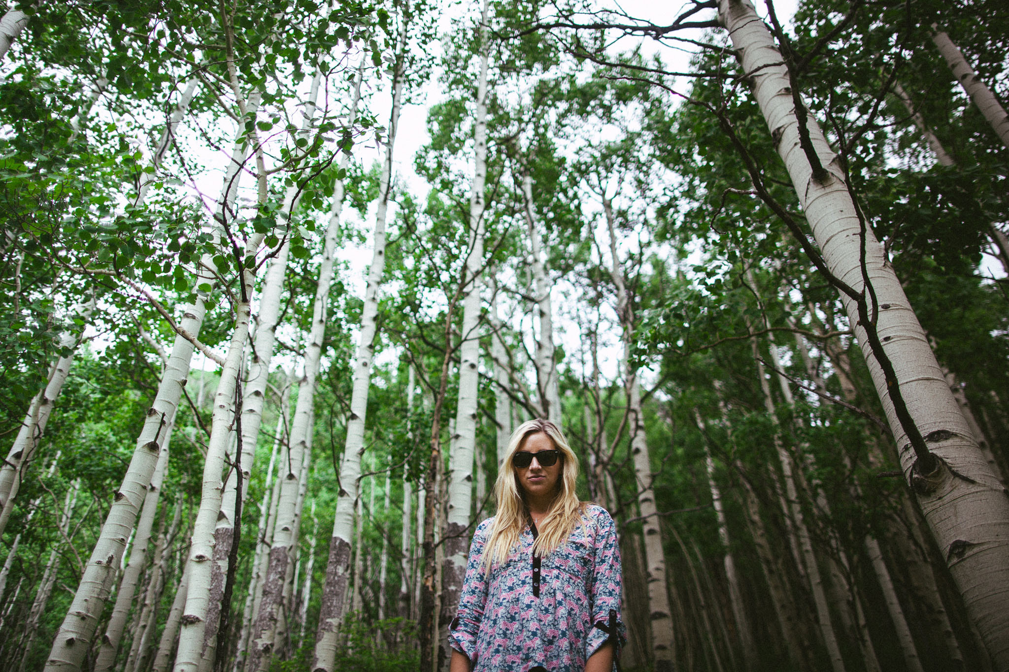 Canon EOS 5D Mark II sample photo. The tall aspens photography