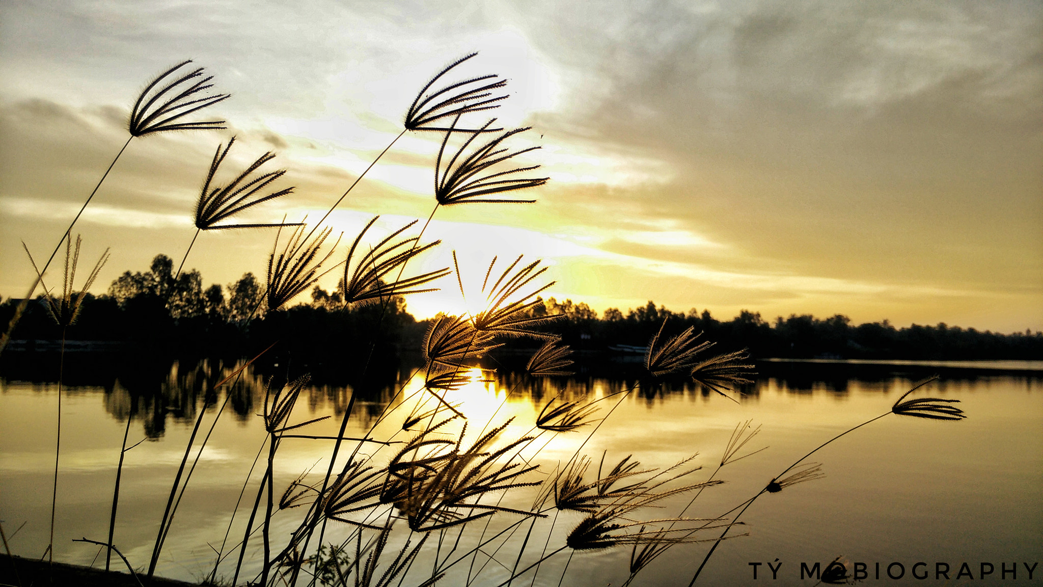 OPPO Find7 sample photo. S.u.n.s.e.t photography