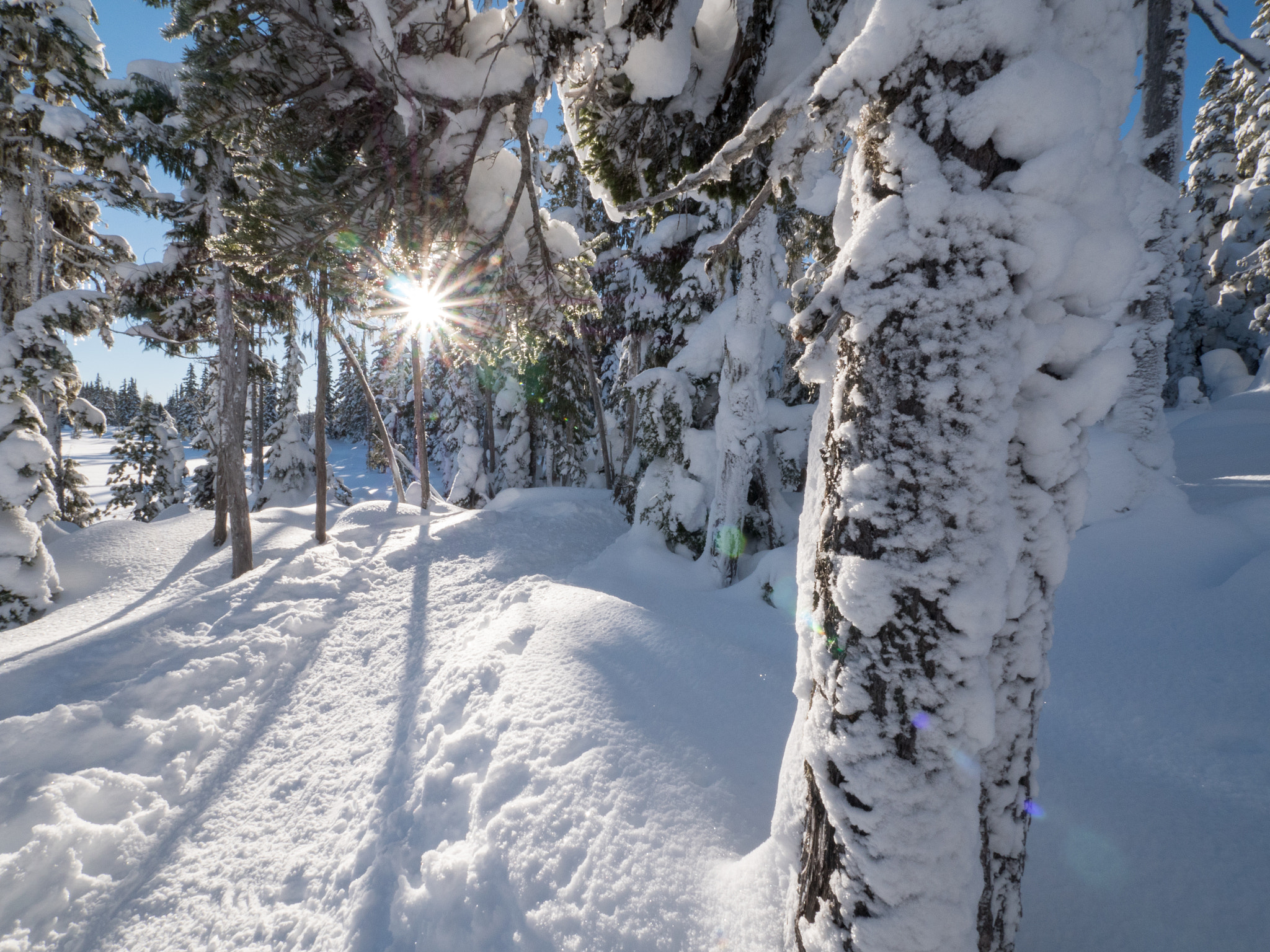 Panasonic Lumix G Vario 7-14mm F4 ASPH sample photo. Snowey sun star photography