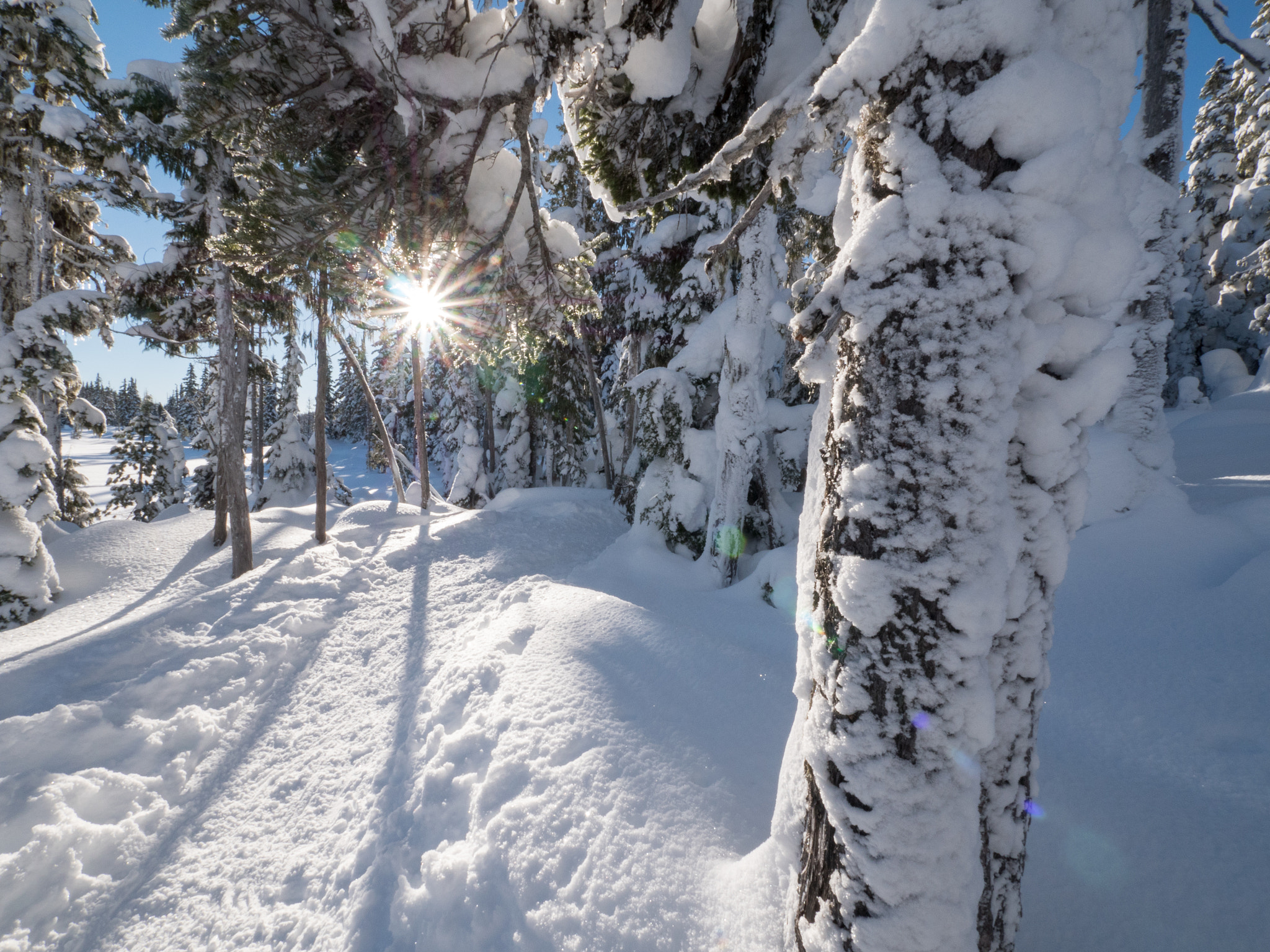 Panasonic Lumix DMC-GH4 + Panasonic Lumix G Vario 7-14mm F4 ASPH sample photo. Snowey sun star photography