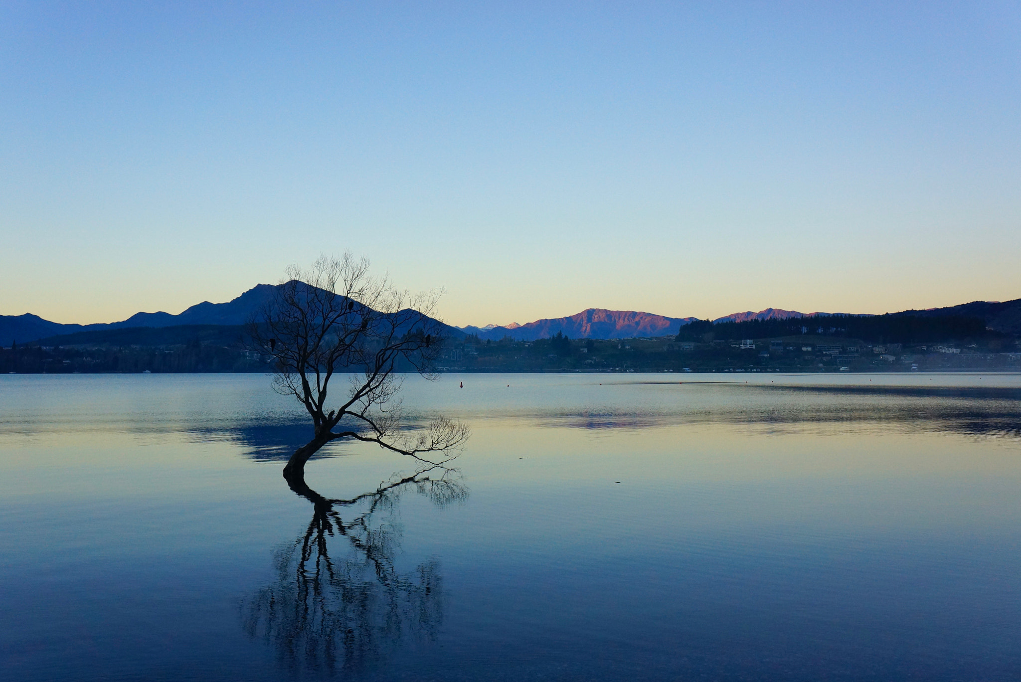 Tamron 18-200mm F3.5-6.3 Di III VC sample photo