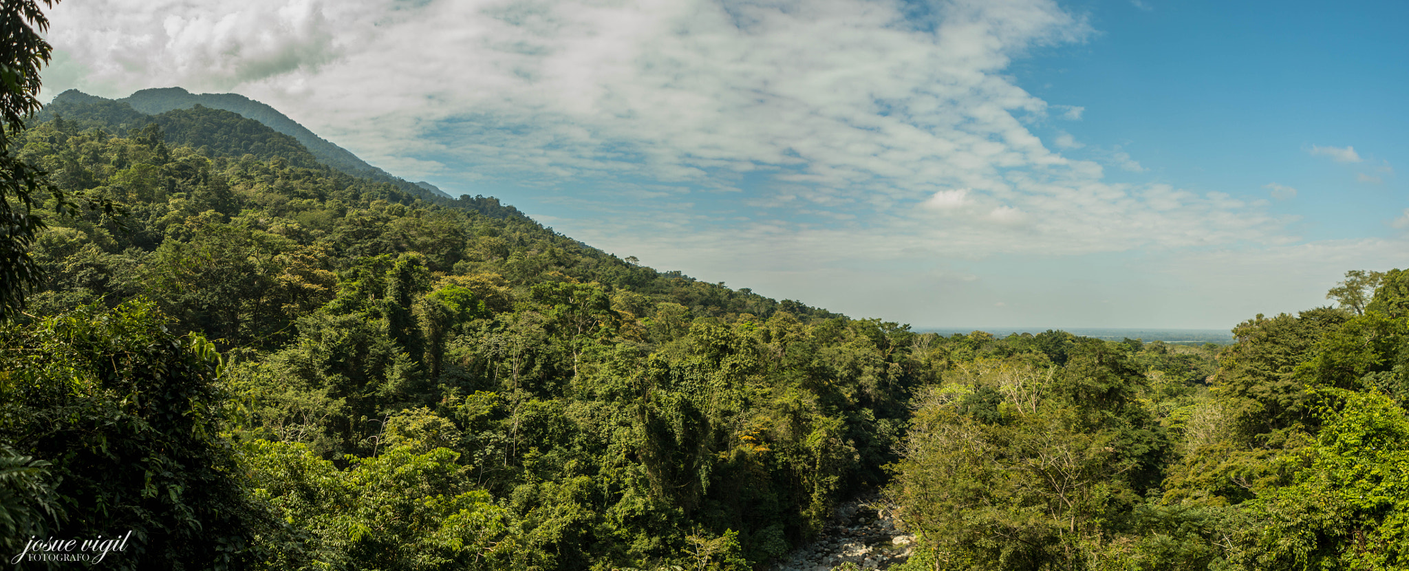 Canon EF 24-70mm F2.8L USM sample photo. Parque nacional pico bonito photography