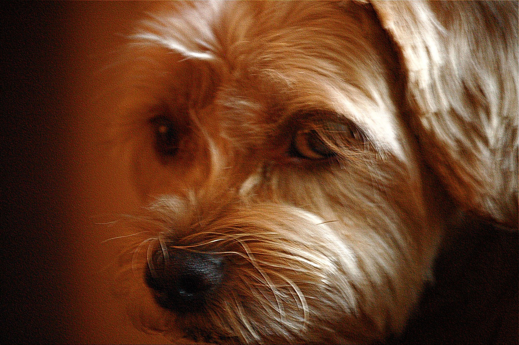 Nikon D70s sample photo