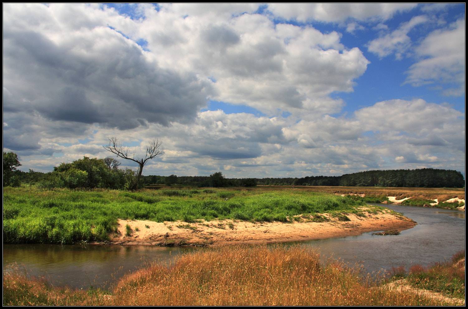 Sigma 18-125mm F3.8-5.6 DC OS HSM sample photo. Liwiec river photography