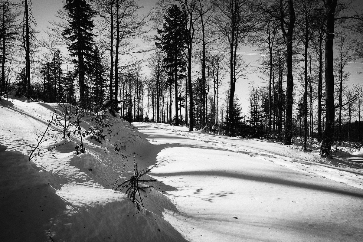 Fujifilm X-E2 + Fujifilm XF 14mm F2.8 R sample photo. Bavaria photography