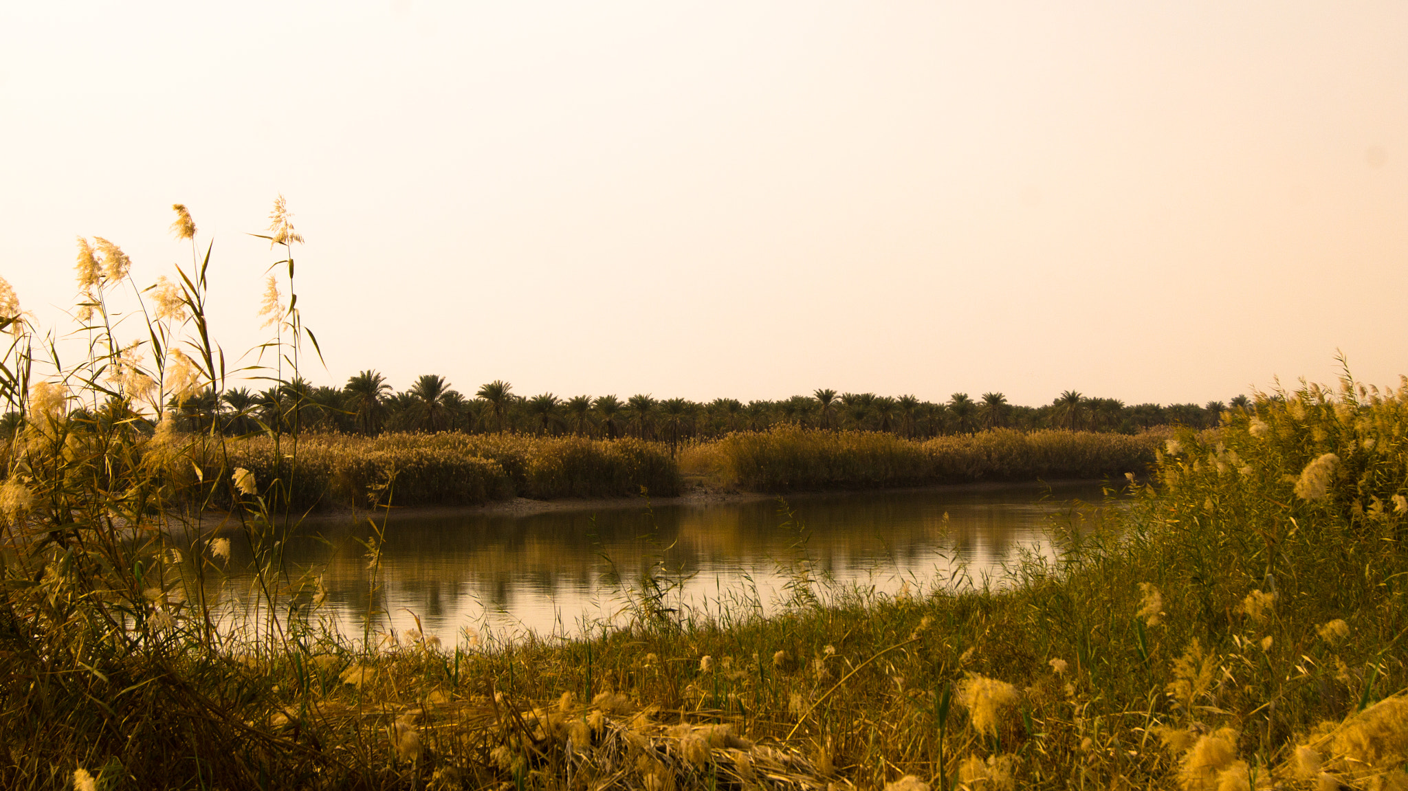 Sony SLT-A35 + Sony DT 18-55mm F3.5-5.6 SAM sample photo. River bahmanshir photography