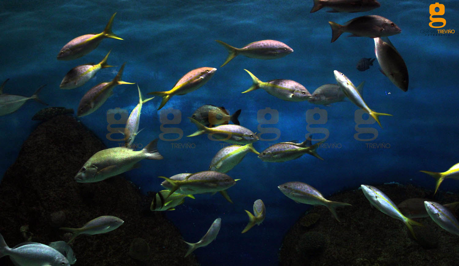 Canon EF 17-35mm f/2.8L sample photo. #pacific #mar #colors photography