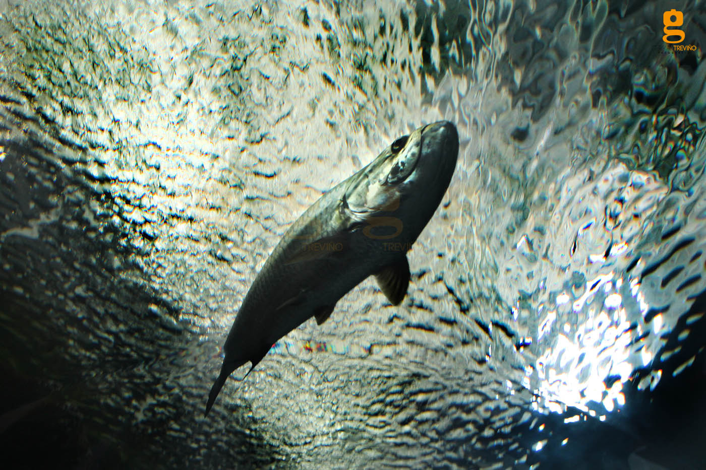 Canon EF 17-35mm f/2.8L sample photo. #pacific #sea photography