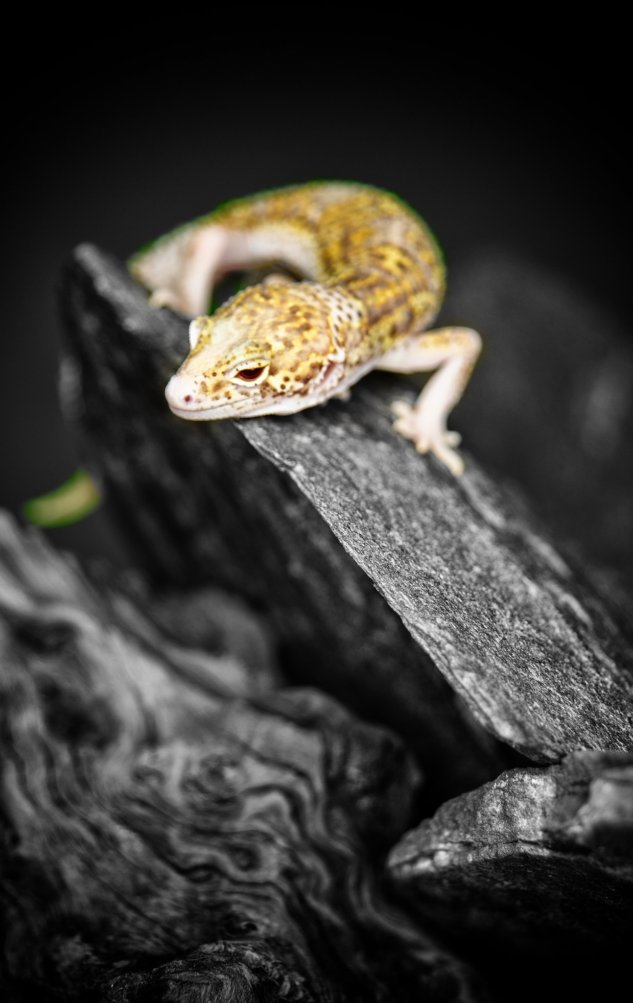 Sigma 24-70mm F2.8 EX DG HSM sample photo. Mack snow radar photography