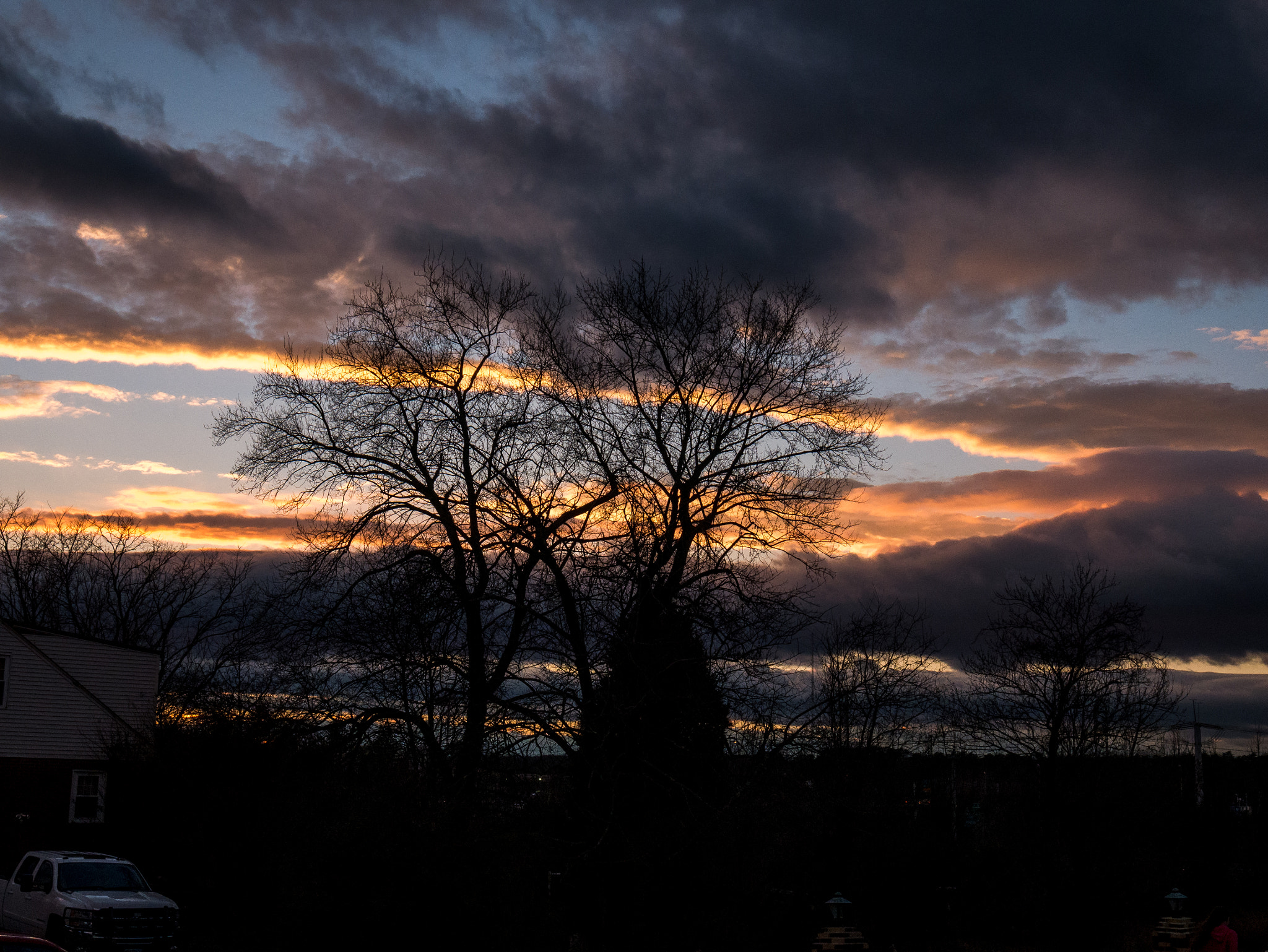 Panasonic Lumix DMC-G7 sample photo. Treesunset photography