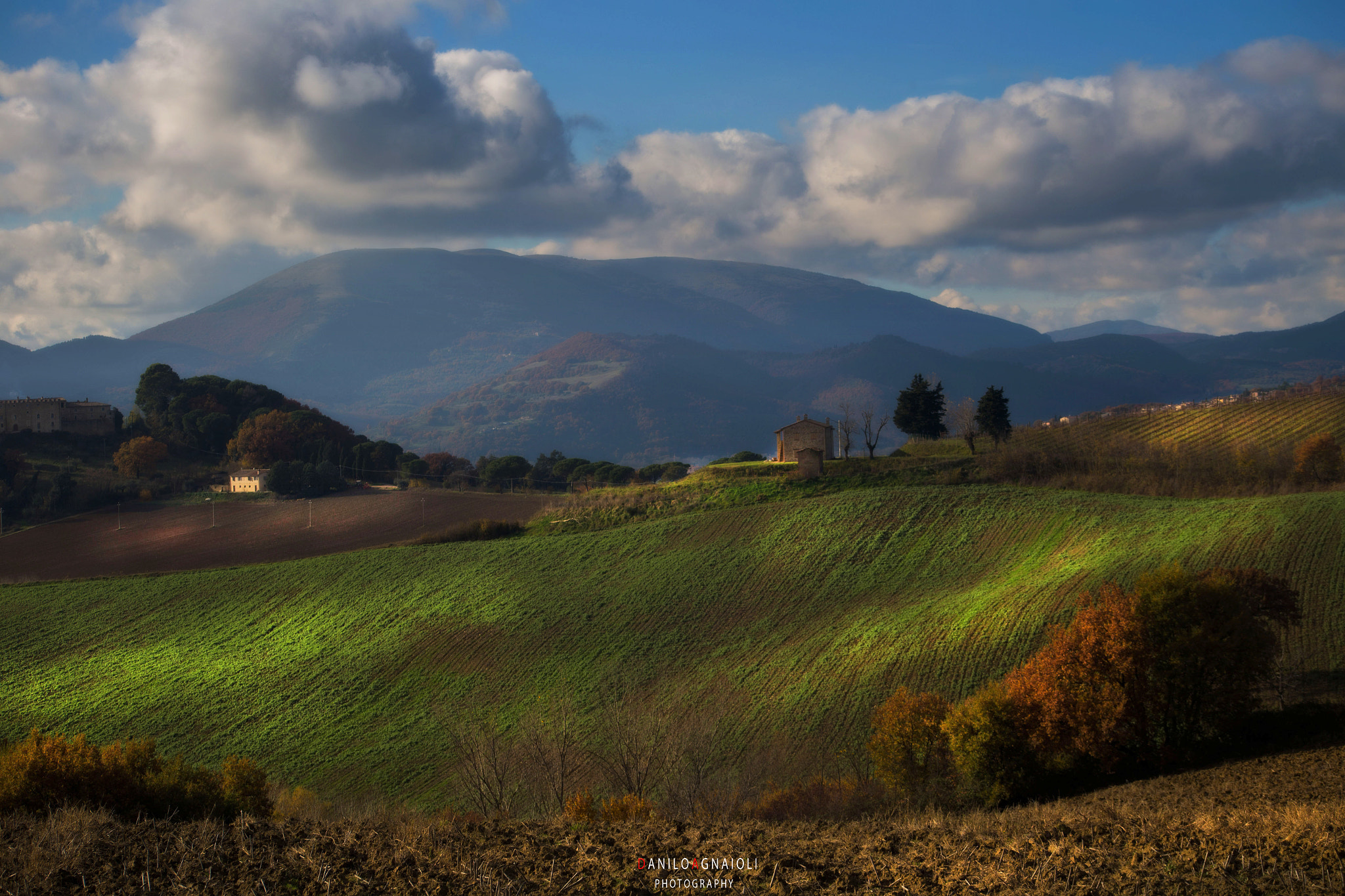 Canon EOS 6D sample photo. Un freddo pomeriggio di dicembre . (una della serie del 2016) photography