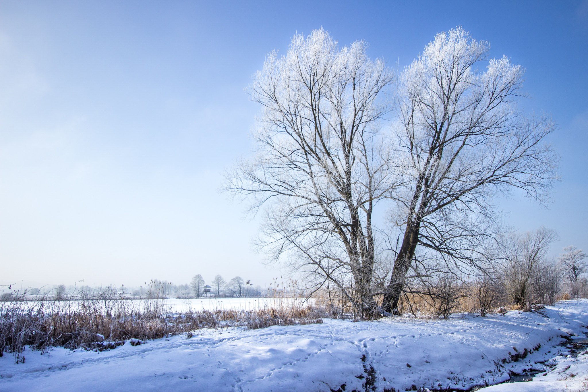 Canon EF-S 10-22mm F3.5-4.5 USM sample photo. Winter again photography