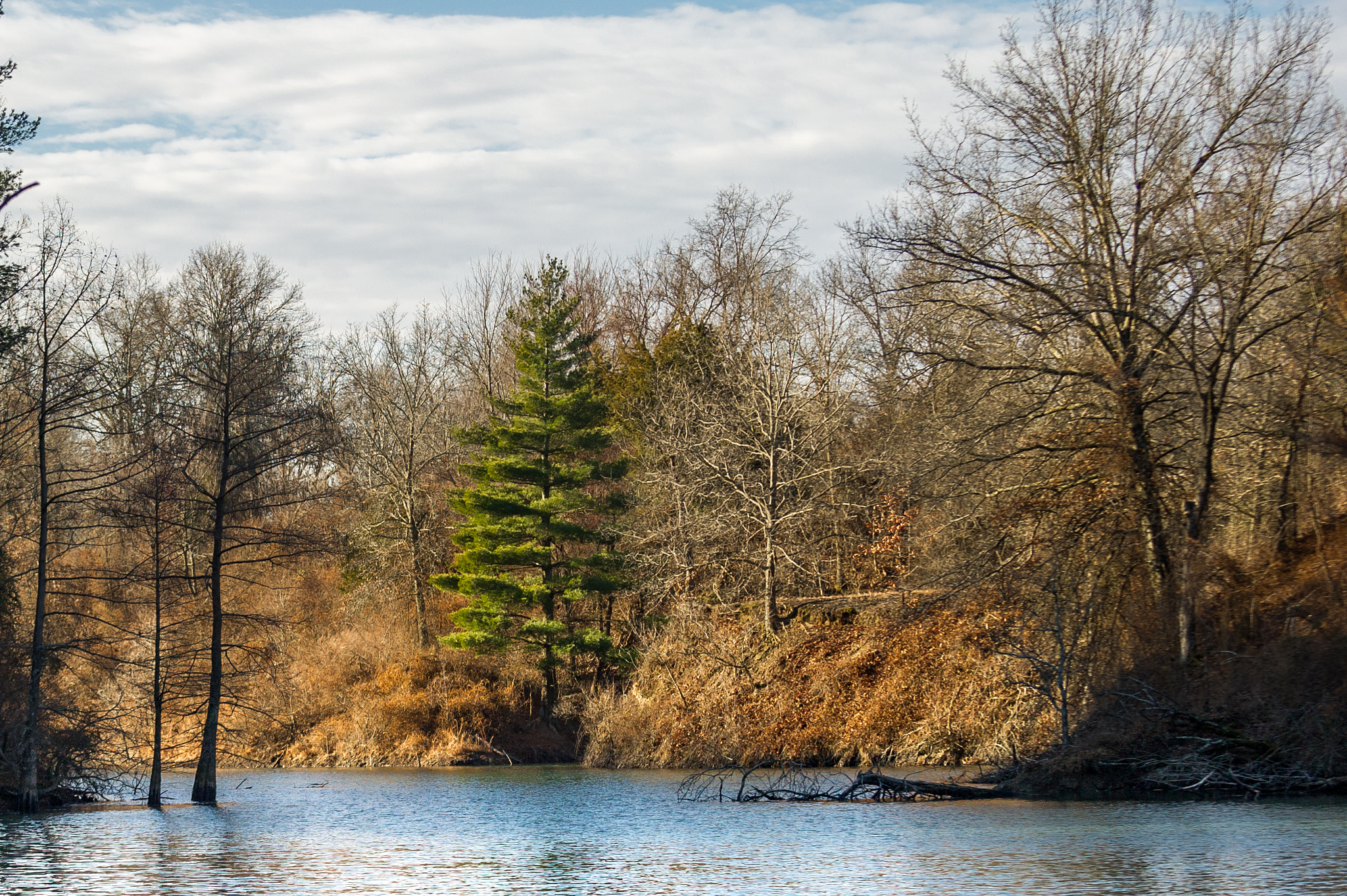 Nikon D3S sample photo. Green photography