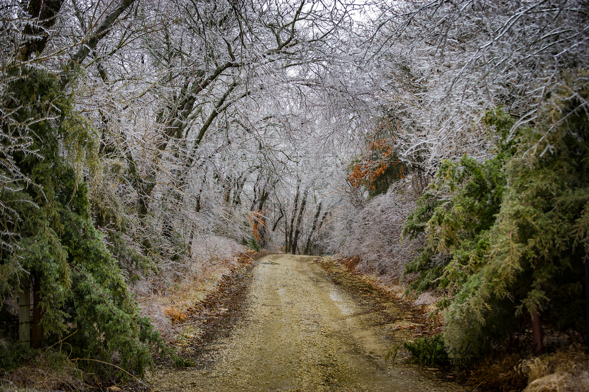 Nikon D3S sample photo. Kansas ice photography