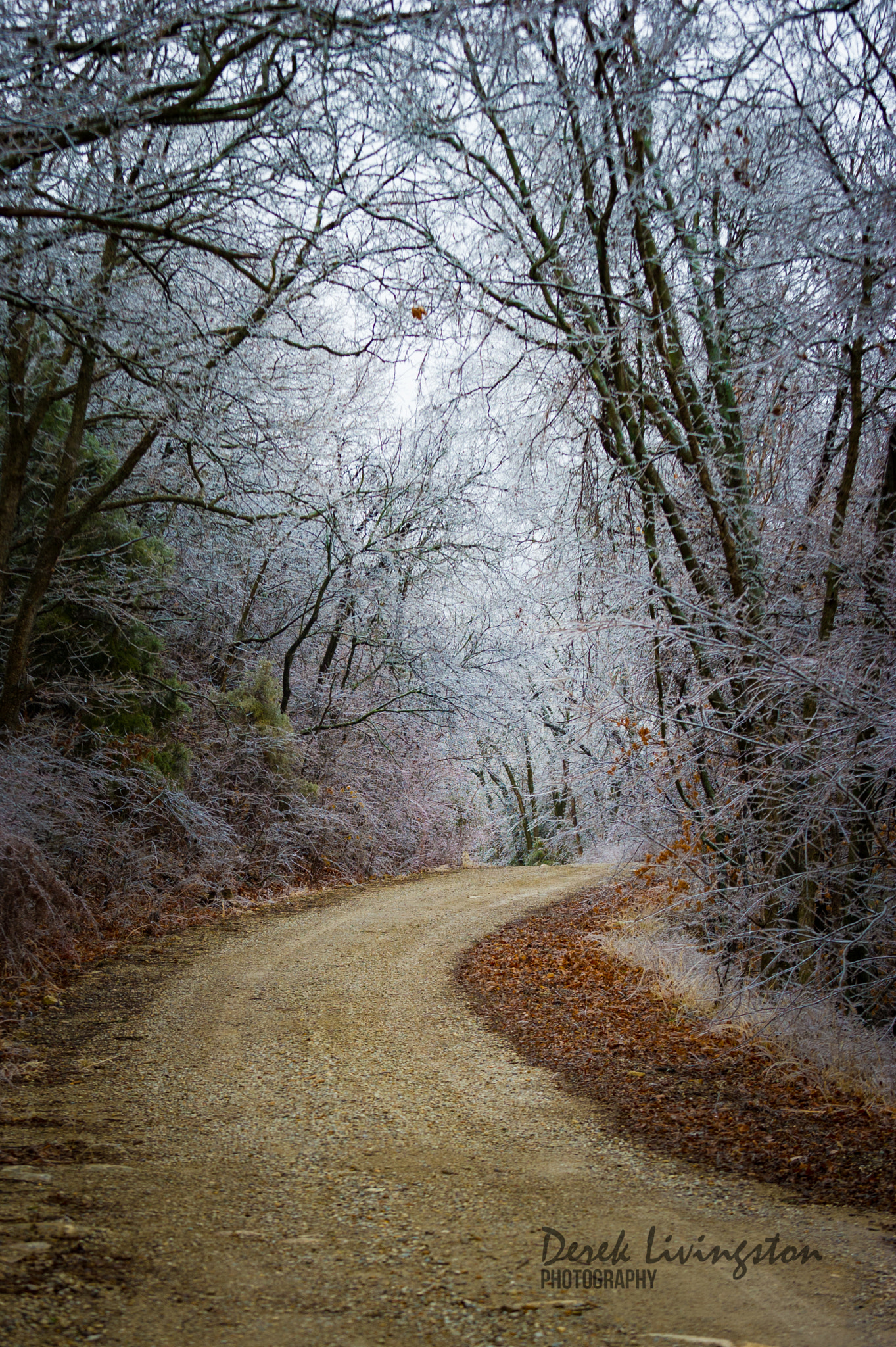 Nikon D3S sample photo. Backroad photography