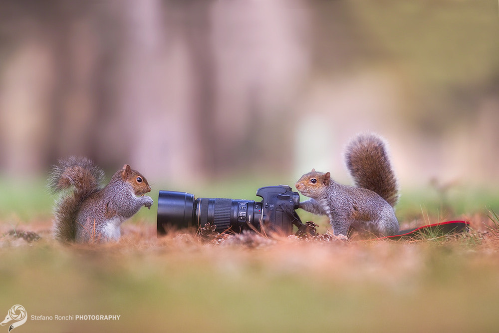 Canon EF 300mm F2.8L IS USM sample photo. You are my favorite model photography