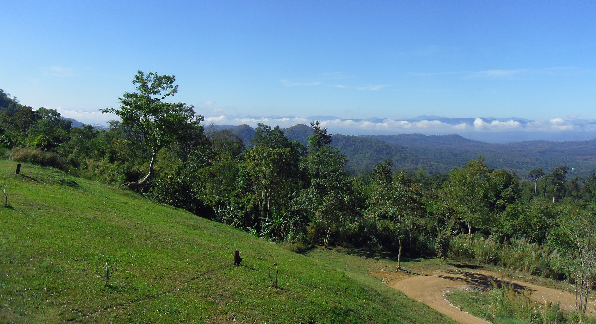 Pentax OPTIO LS465 sample photo. View in sahakon nikhom, thongphaphum - thailand photography