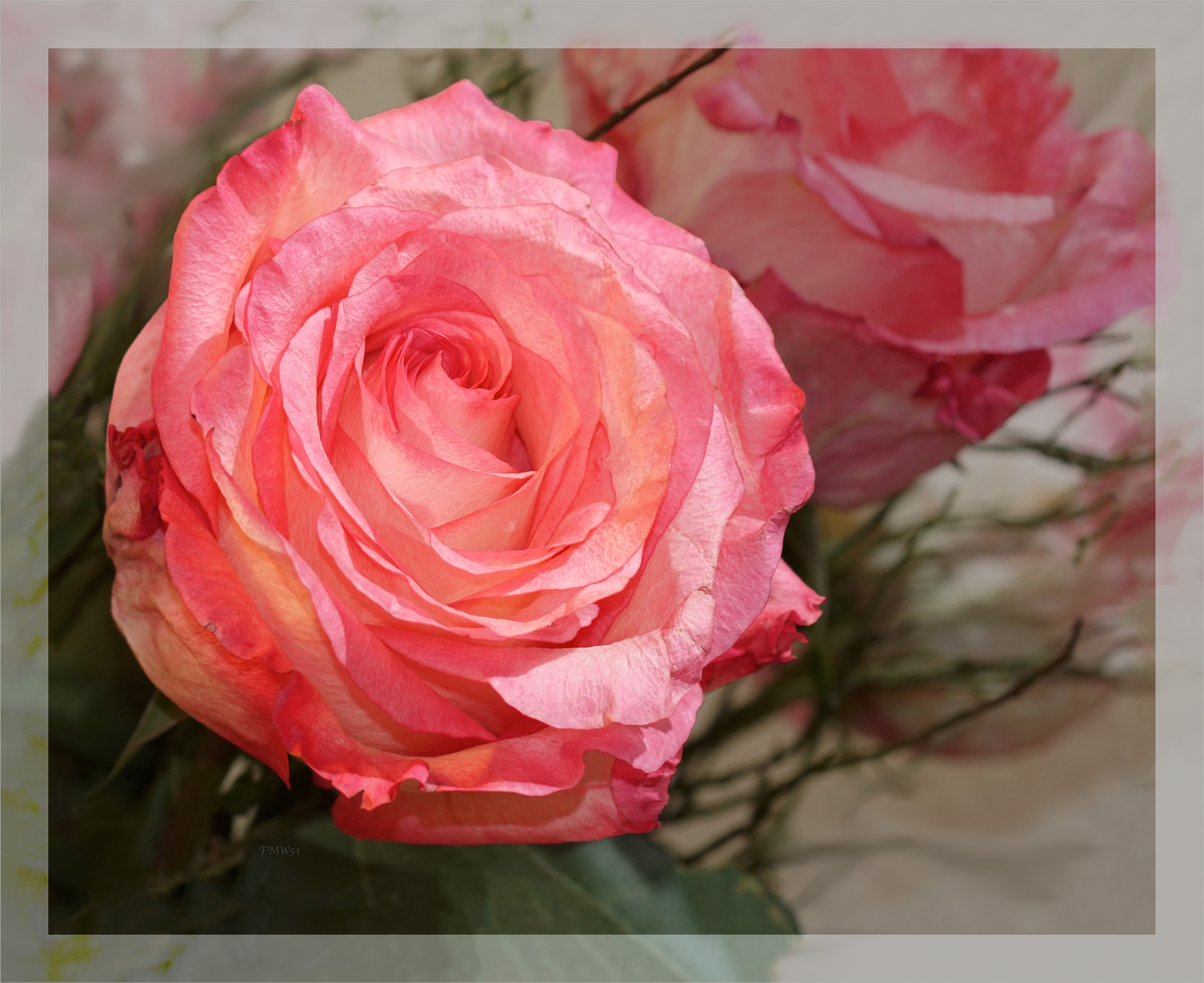 Sony 100mm F2.8 Macro sample photo. Red rose photography
