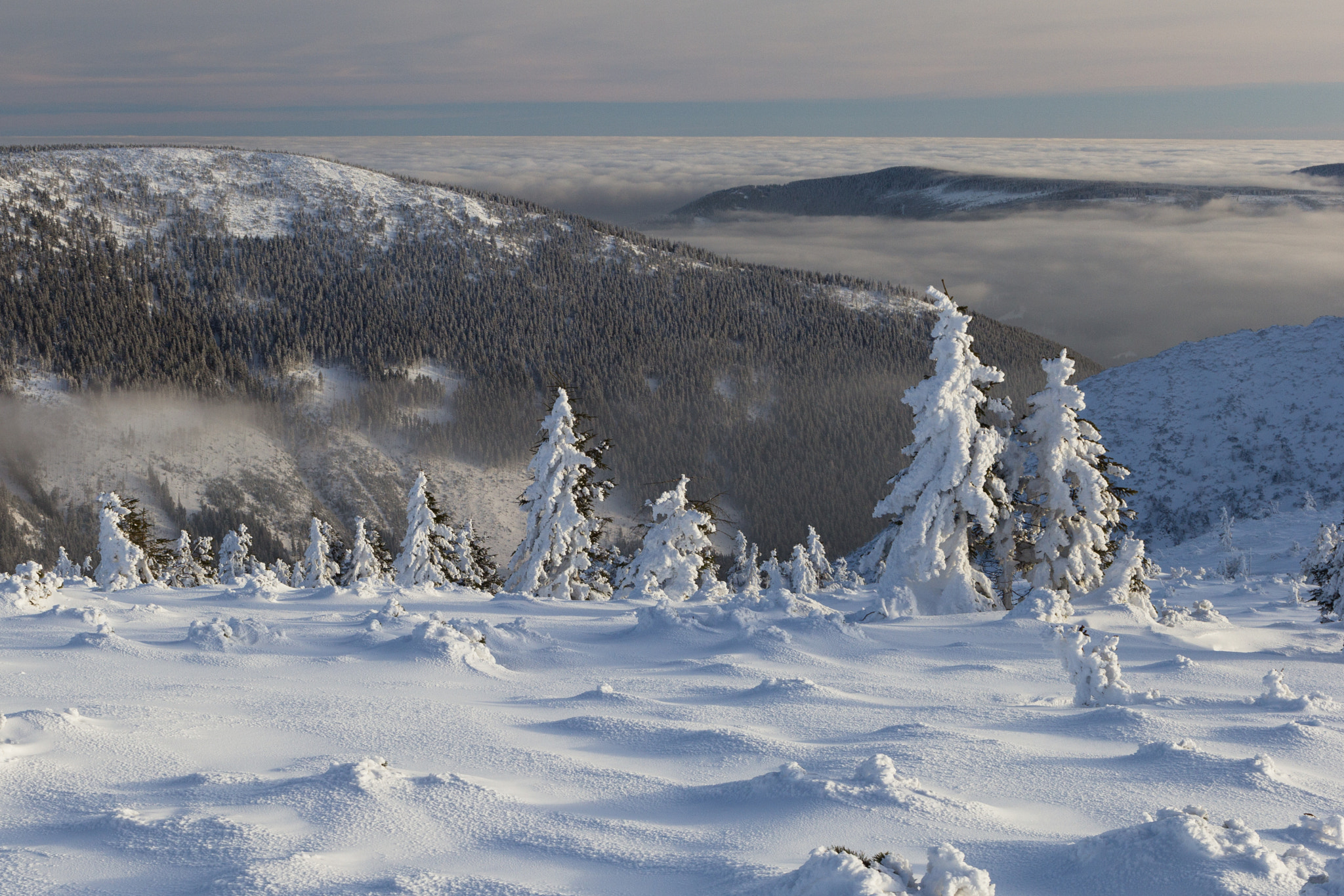 Canon EF 24-70mm F4L IS USM sample photo. Winter kingdom photography