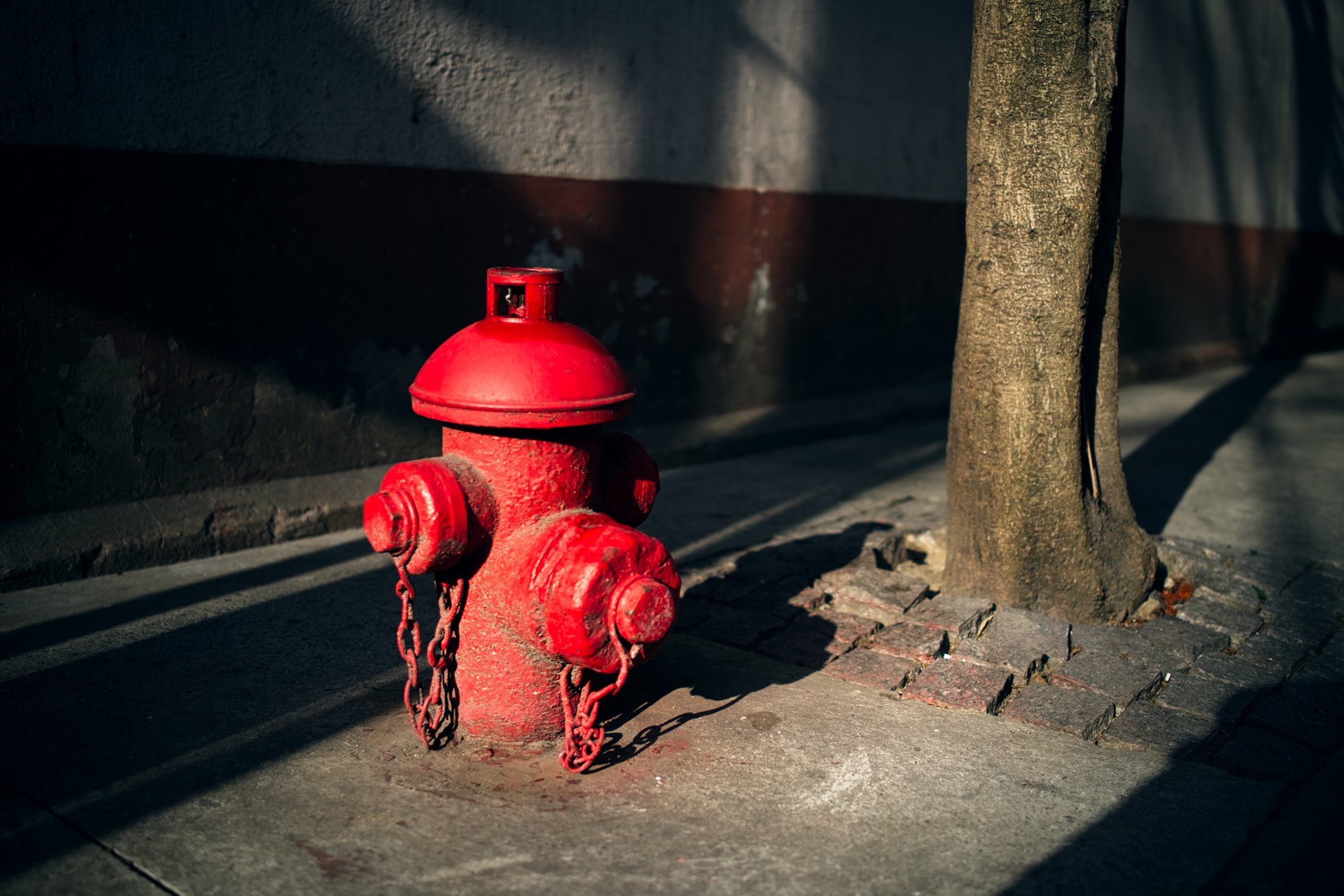 Sony 35mm F2.0 sample photo. @shanghai photography