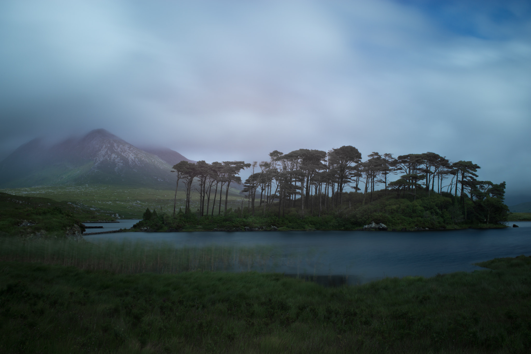 Nikon D800 sample photo. The dream tree island of connemara photography