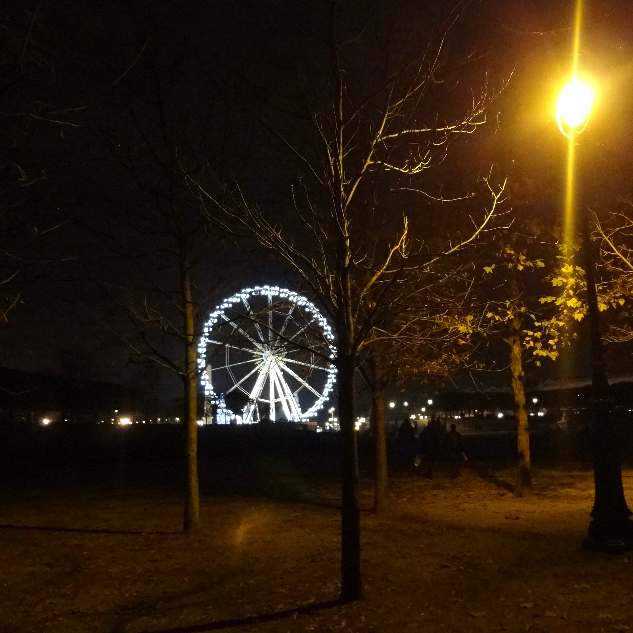 Sony DSC-WX7 sample photo. Paris,tuileries,lanuit photography