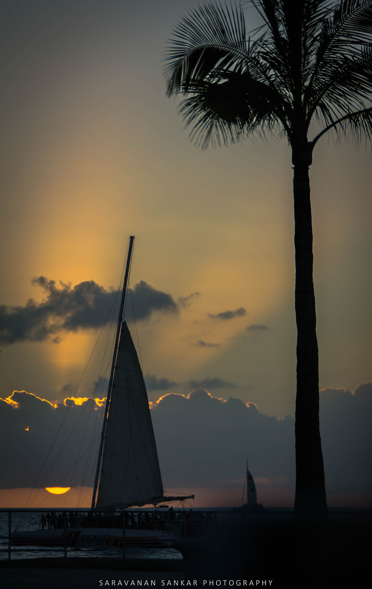 Sony SLT-A65 (SLT-A65V) sample photo. Sailing at sunset photography