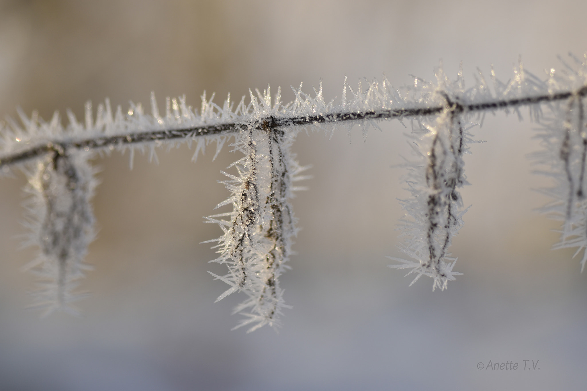 Nikon AF-S Micro-Nikkor 105mm F2.8G IF-ED VR sample photo. Ice needles 2.. photography