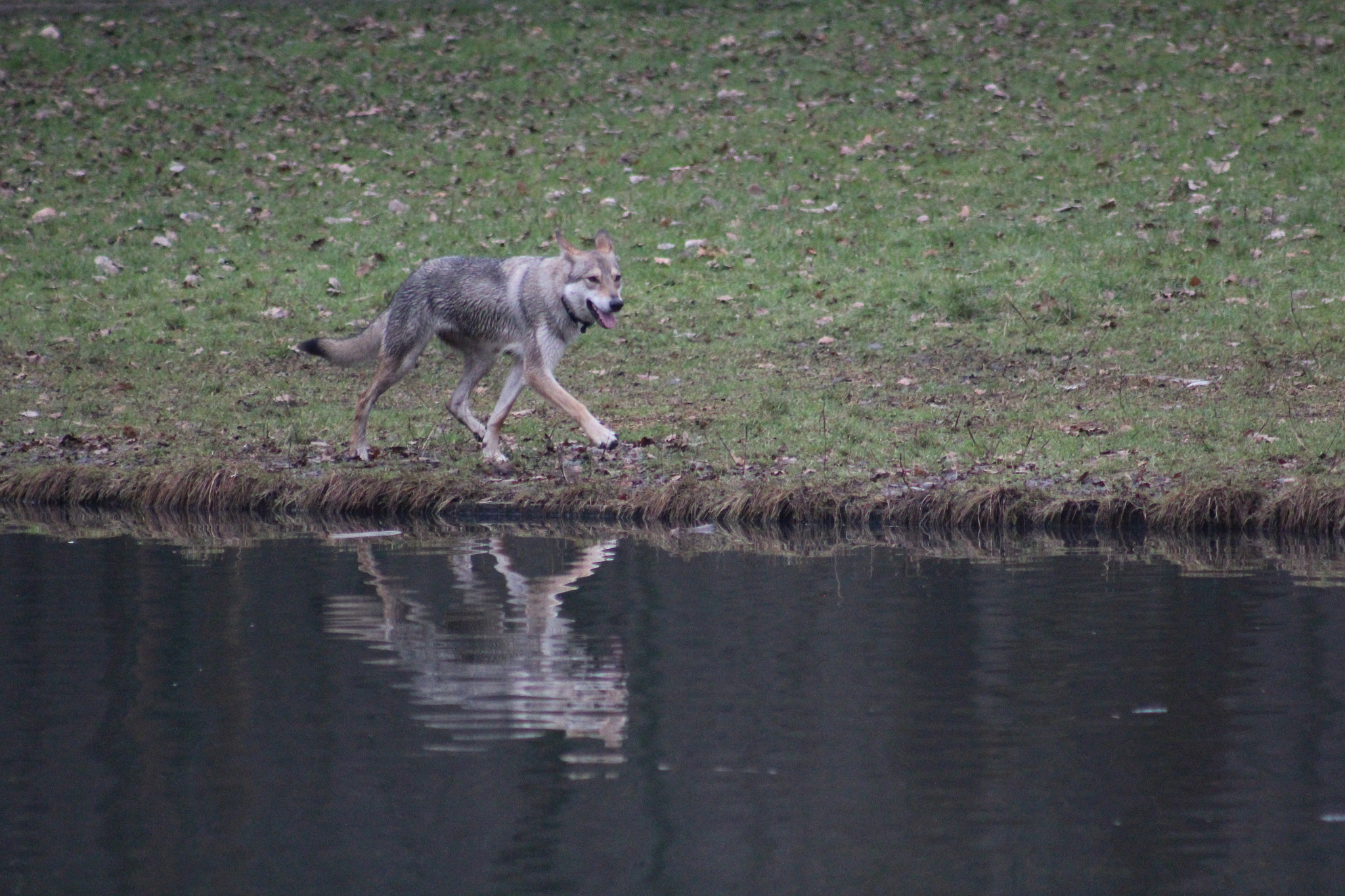 Canon EF 75-300mm f/4-5.6 USM sample photo. Img photography