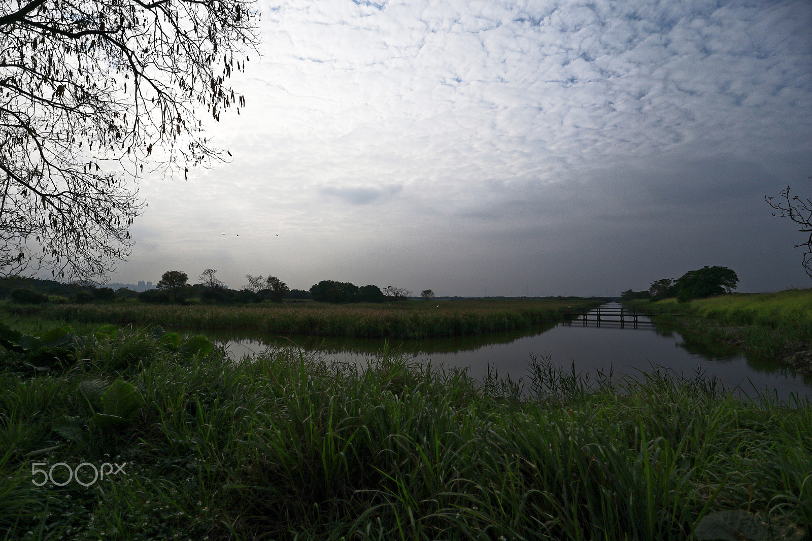 Canon EF-M 11-22mm F4-5.6 IS STM sample photo. Mai po photography