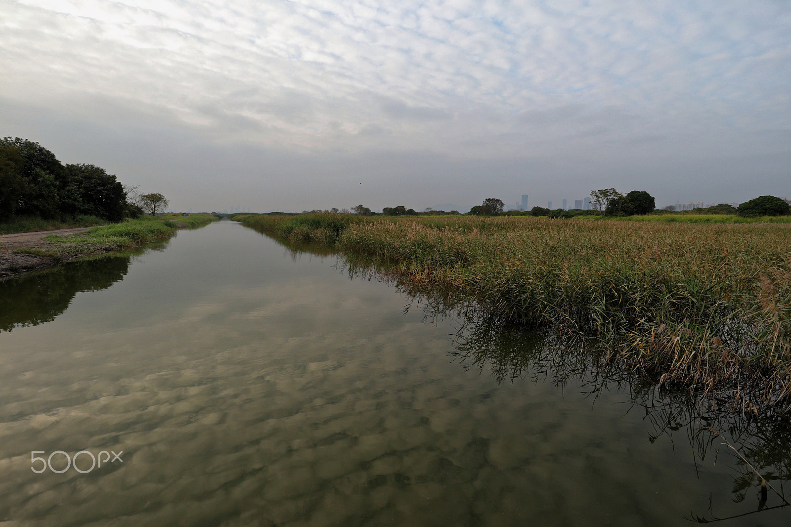 Canon EF-M 11-22mm F4-5.6 IS STM sample photo. Mai po photography