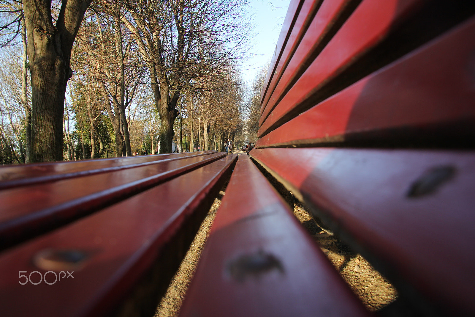 Canon EOS 60D sample photo. Sit down photography