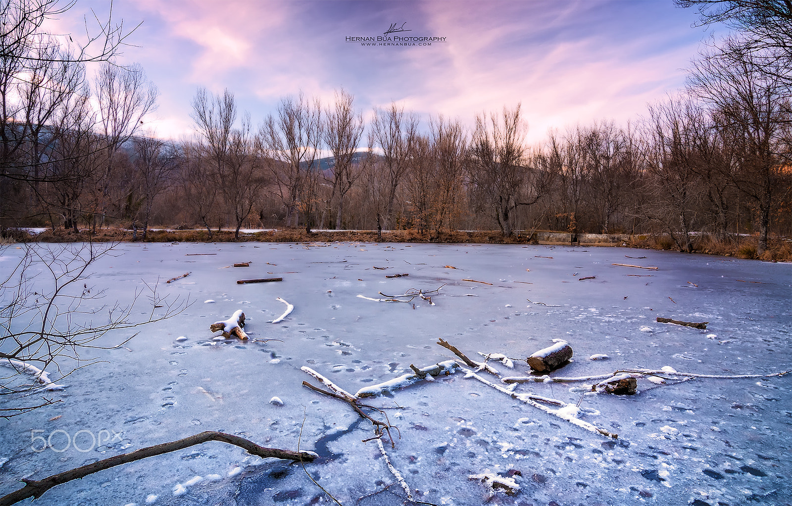Tokina AT-X Pro 11-16mm F2.8 DX sample photo. Forest of finlandia (iv) photography