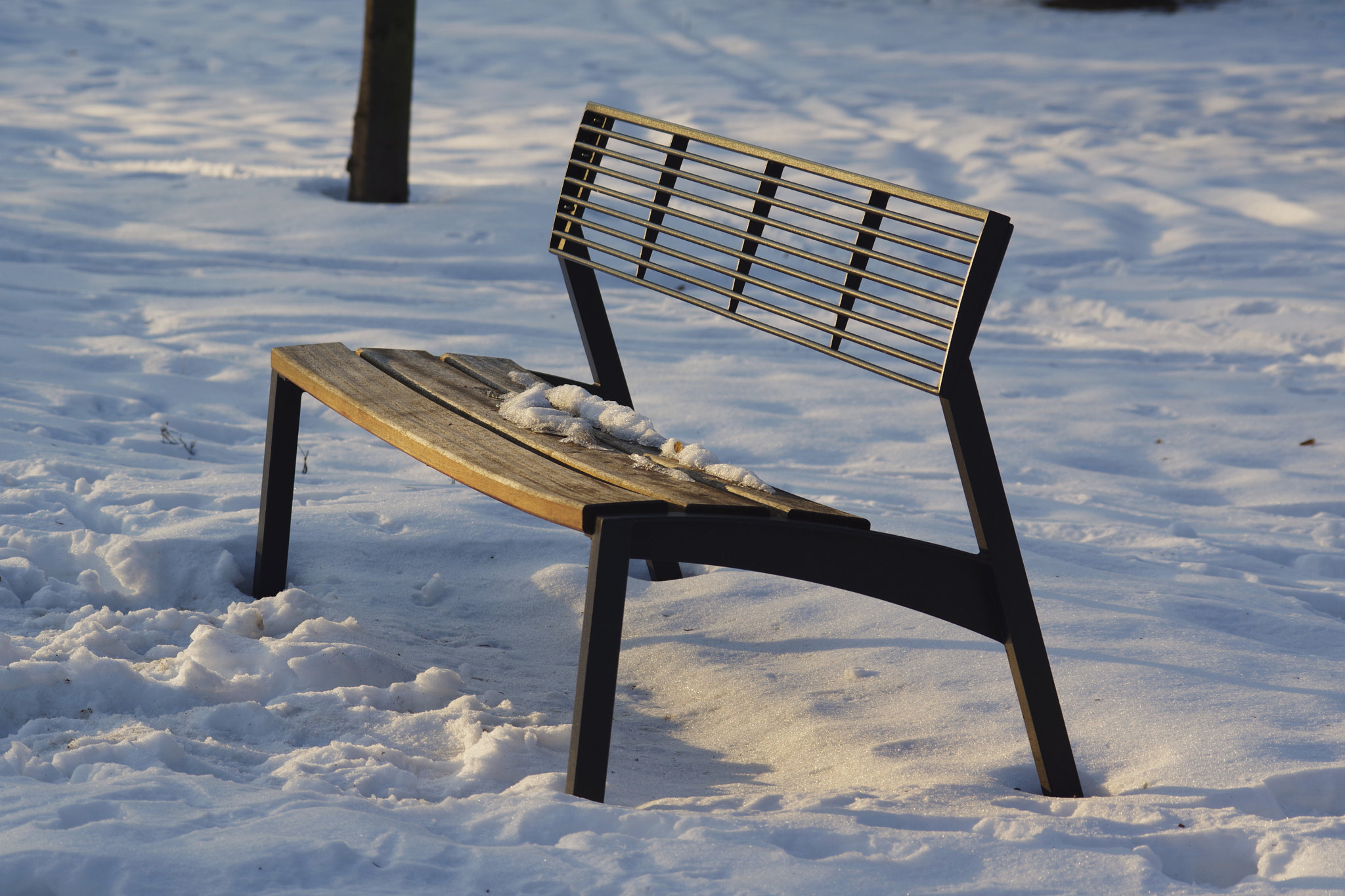 Samsung/Schneider D-XENON 50-200mm F4-5.6 ED sample photo. Waiting for spring photography