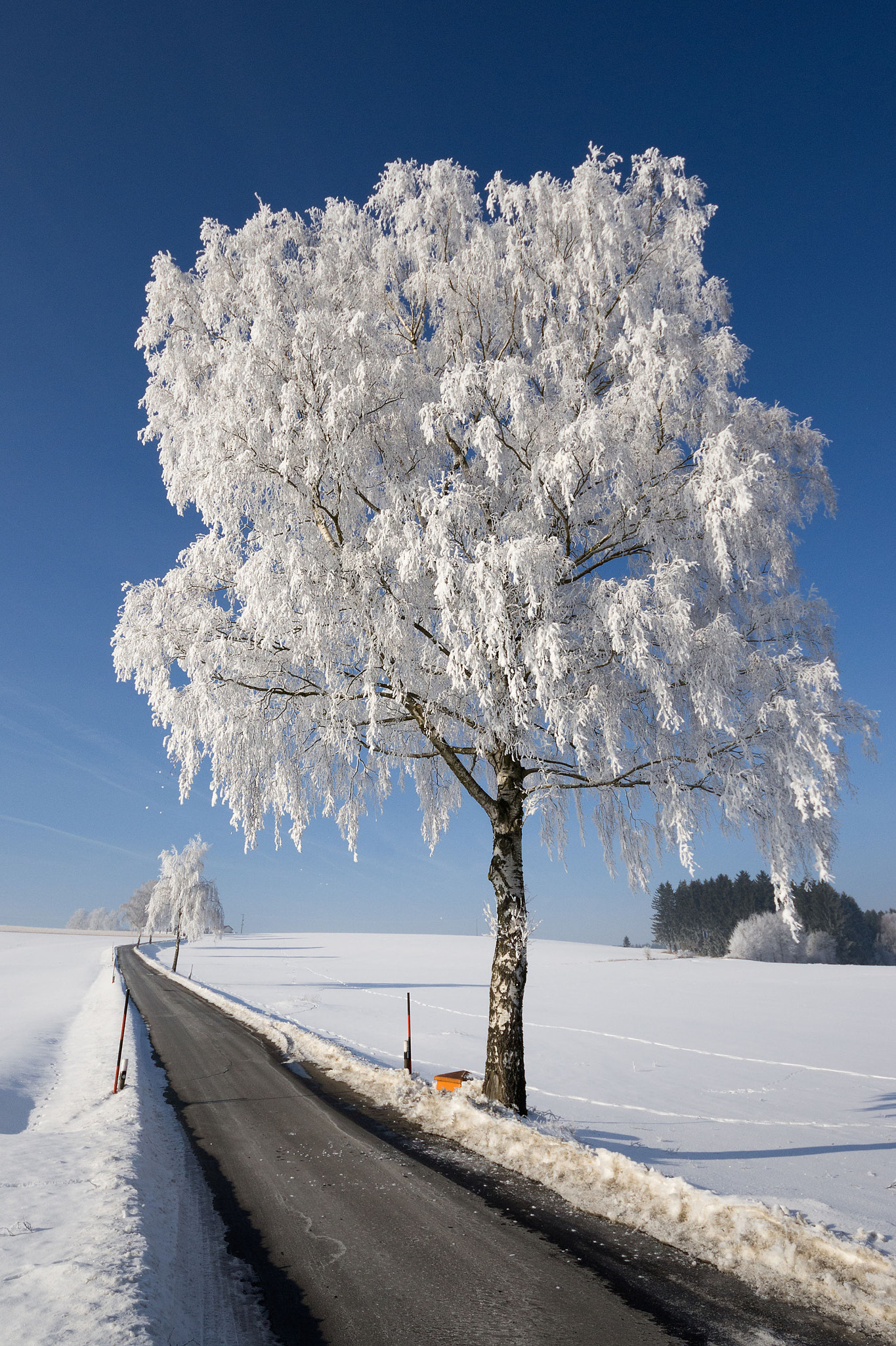 Sigma 8-16mm F4.5-5.6 DC HSM sample photo. Frozen photography
