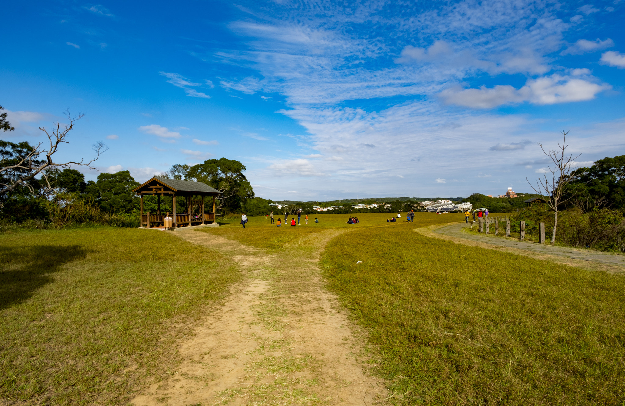 ZEISS Touit 12mm F2.8 sample photo. Y road of  grasslands photography