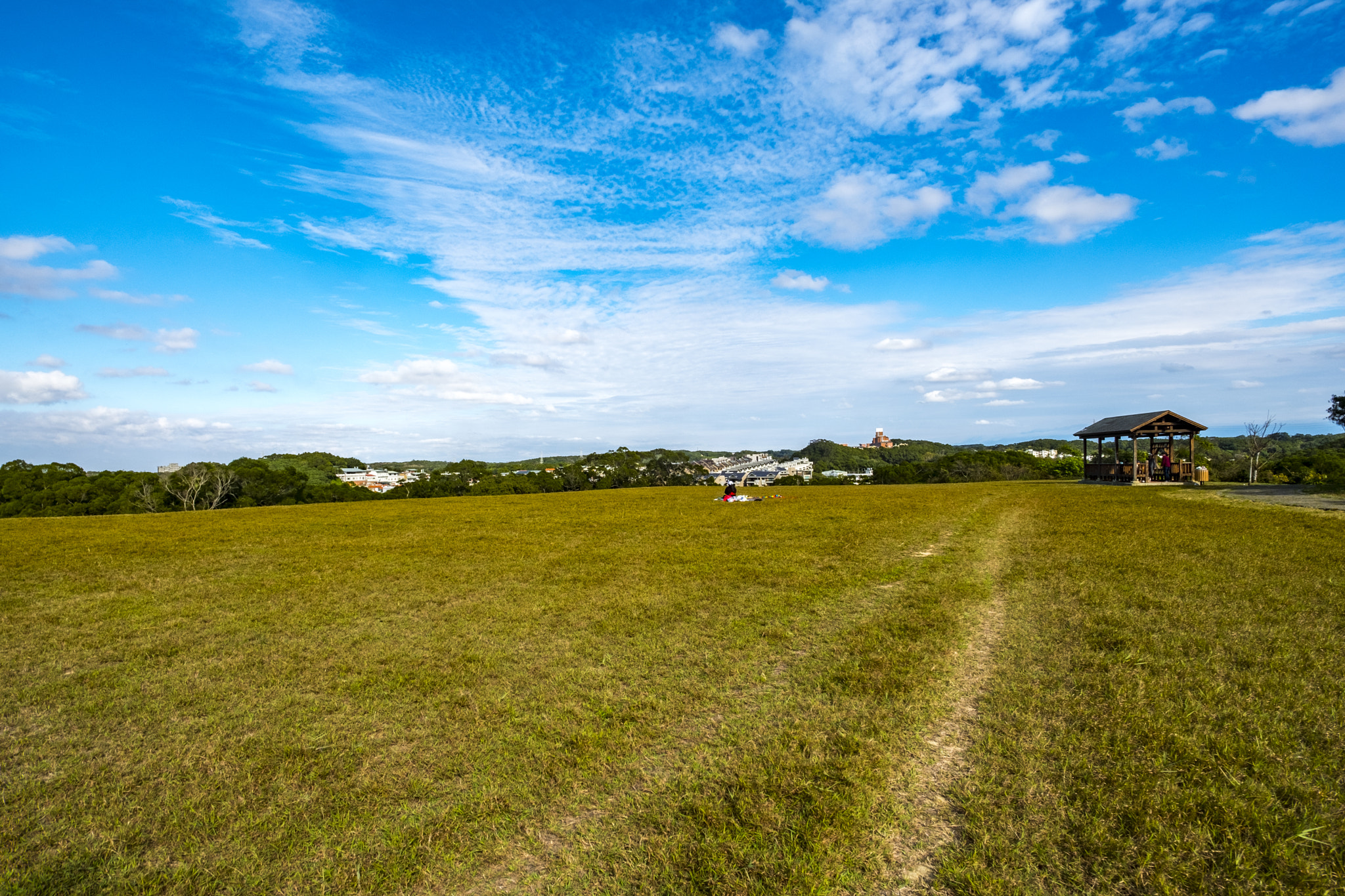 ZEISS Touit 12mm F2.8 sample photo. Silent afternoon in grasslands photography