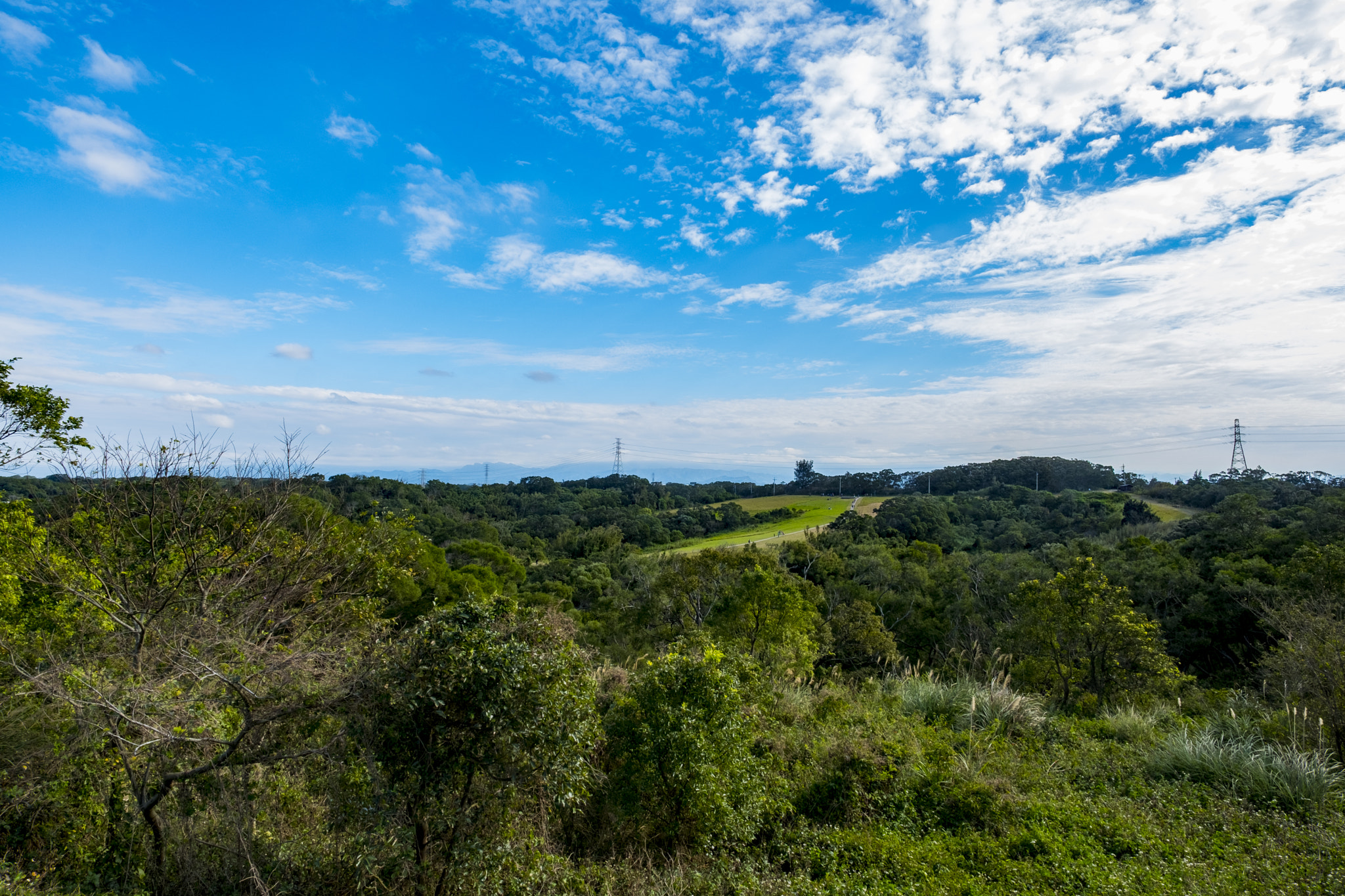 ZEISS Touit 12mm F2.8 sample photo. 遠望草原 photography