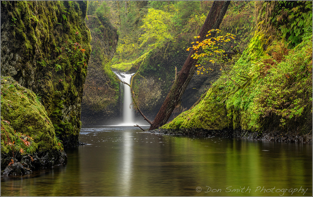 Sony a7R sample photo. Punchbowl falls photography